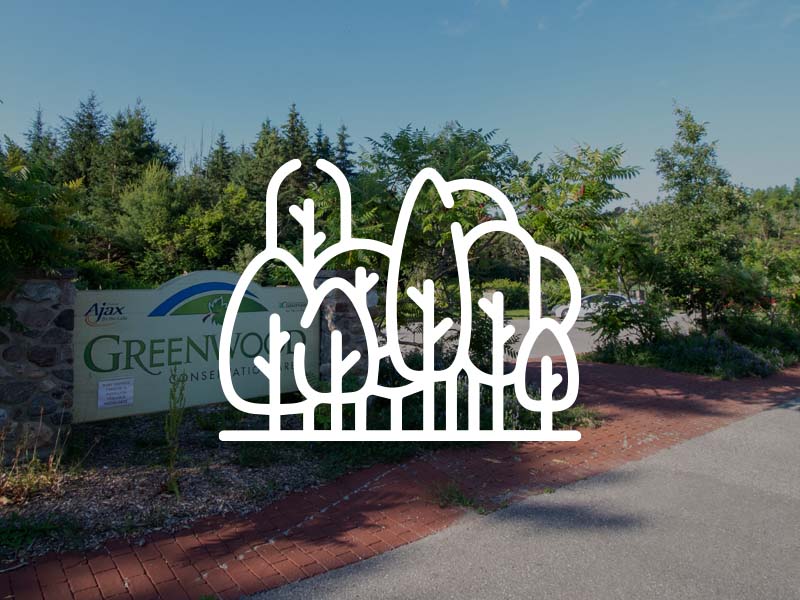 Greenwood Conservation